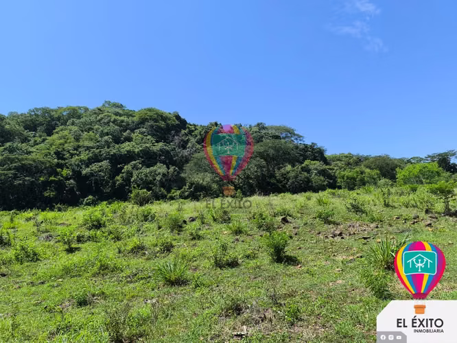 VENDO HACIENDA CARRETERA LITORAL, SONSONATE - Imagen 10