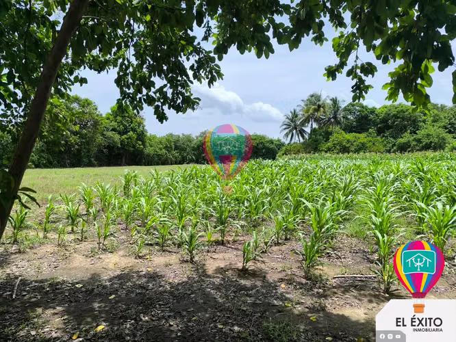 GANGA DE INVERSION VENDO PARCELA EN EL PUERTO DE LA LIBERTAD - Imagen 4
