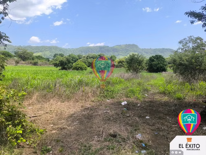 GANGA VENDO TERRENO EN CALUCO, SONSONATE - Imagen 3