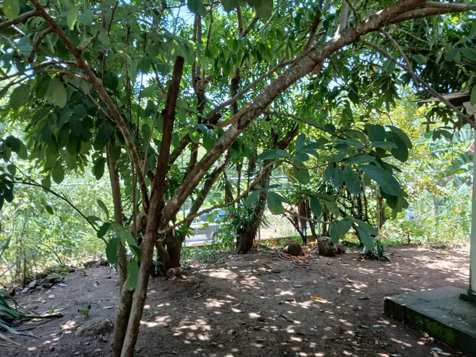 CASA DE CAMPO EN VENTA EN SUCHITOTO