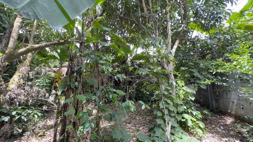¡TERRENO PREMIUM EN EL VOLCÁN! PLANO Y DE GRAN POTENCIAL (1,713 v²) SOBRE LA CARRETERA - Imagen 8