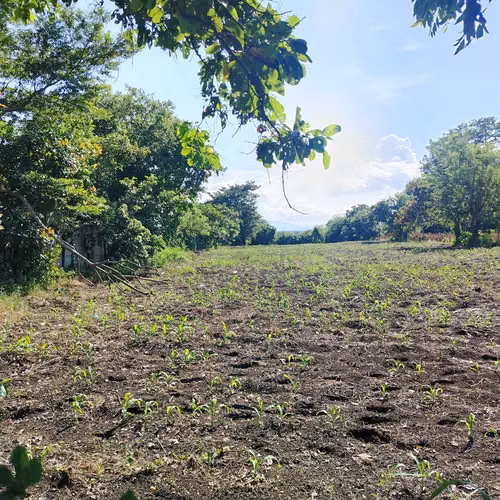 Terreno en venta en la Entrada Autódromo El Jabalí - Imagen 2
