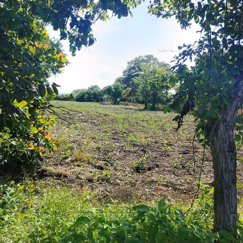 Terreno en venta en la Entrada Autódromo El Jabalí