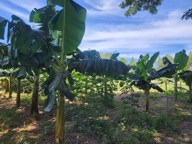 EN VENTA 2,290 V² EN COSTA DEL SOL, EL SALVADOR - Imagen 8