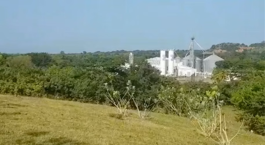 VENTA DE TERRENO SOBRE AUTOPISTA DE COMALAPA A SS. - Imagen 7