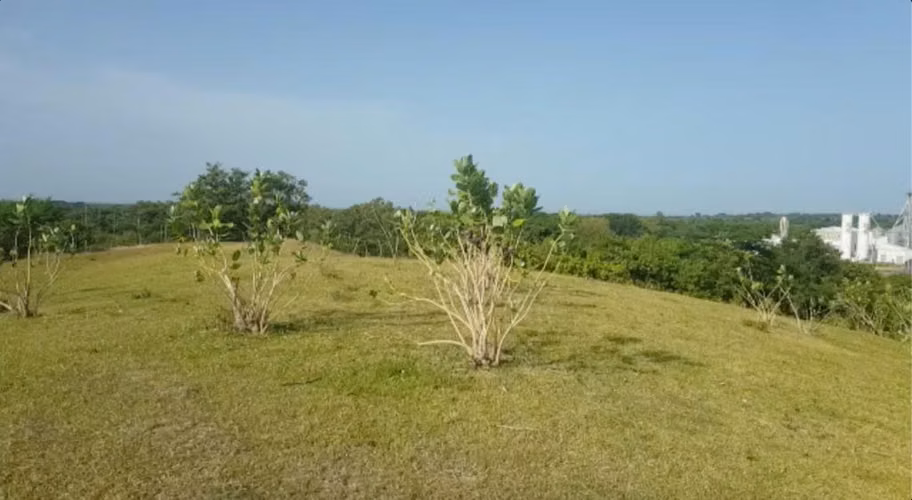 VENTA DE TERRENO SOBRE AUTOPISTA DE COMALAPA A SS. - Imagen 2