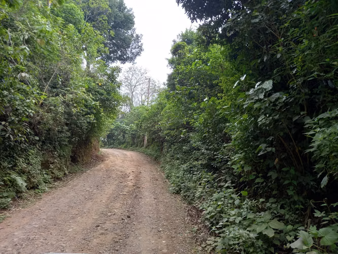 VENTA FINCA 37 MANZANA SAN PEDRO PUXTLA AHUACHAPAN - Imagen 5