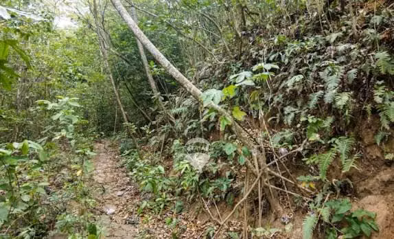 VENTA 121 MANZANAS JUJUTLA AHUACHAPAN - Imagen 4