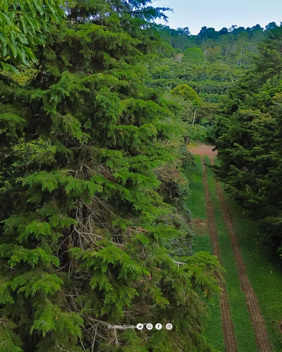 Venta de terrenos en Apaneca, Ruta de Las Flores. - Imagen 3