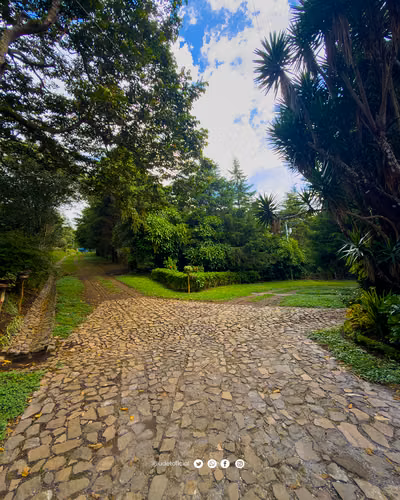Venta de terrenos en Apaneca, Ruta de Las Flores. - Imagen 6