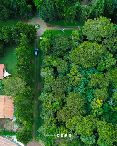 Venta de terrenos en Apaneca, Ruta de Las Flores. - Imagen 2