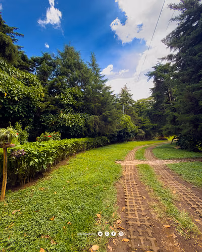 Venta de terrenos en Apaneca, Ruta de Las Flores. - Imagen 5