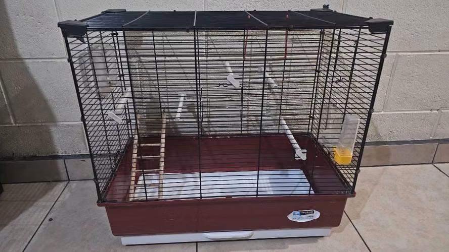 Jaula grande para pájaros o pericos