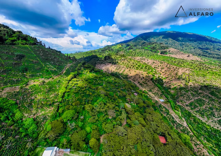 Hermosa Finca de 10 Mz en Los Naranjos