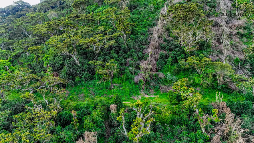 Hermosa Finca de 10 Mz en Los Naranjos