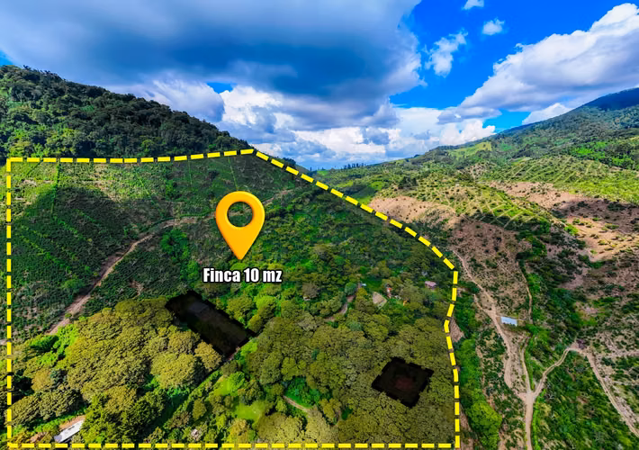 Hermosa Finca de 10 Mz en Los Naranjos