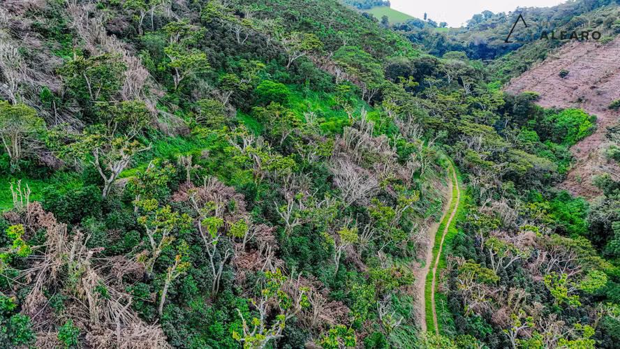 Hermosa Finca de 10 Mz en Los Naranjos