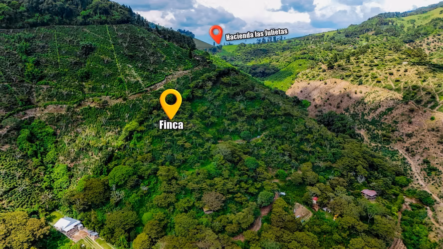 Hermosa Finca de 10 Mz en Los Naranjos