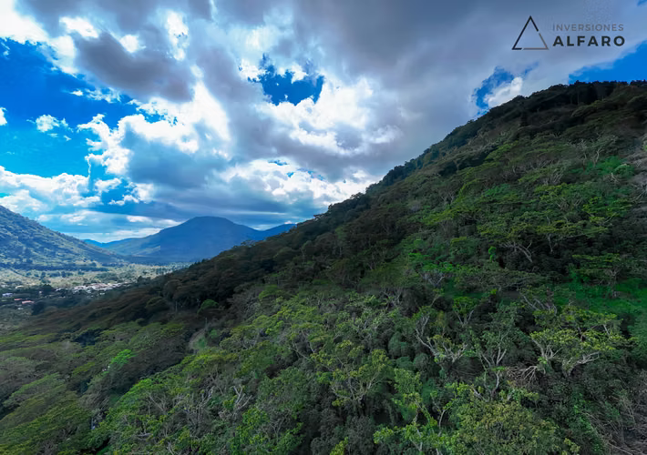Hermosa Finca de 10 Mz en Los Naranjos