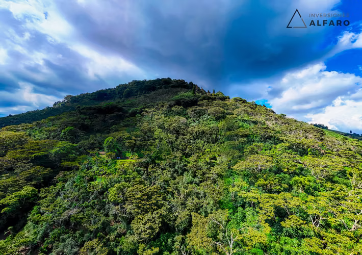 Hermosa Finca de 10 Mz en Los Naranjos