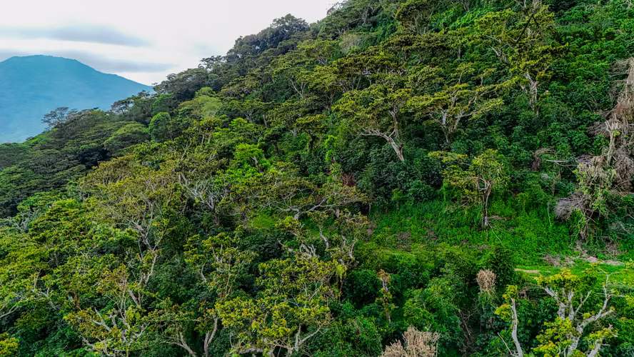 Hermosa Finca de 10 Mz en Los Naranjos