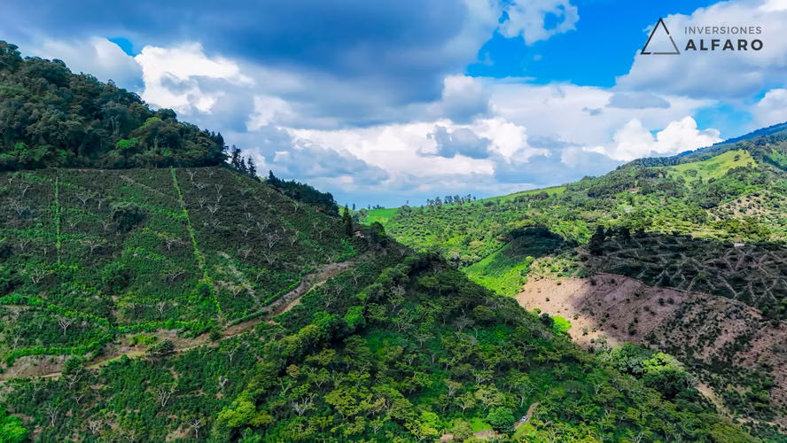 Hermosa Finca de 10 Mz en Los Naranjos