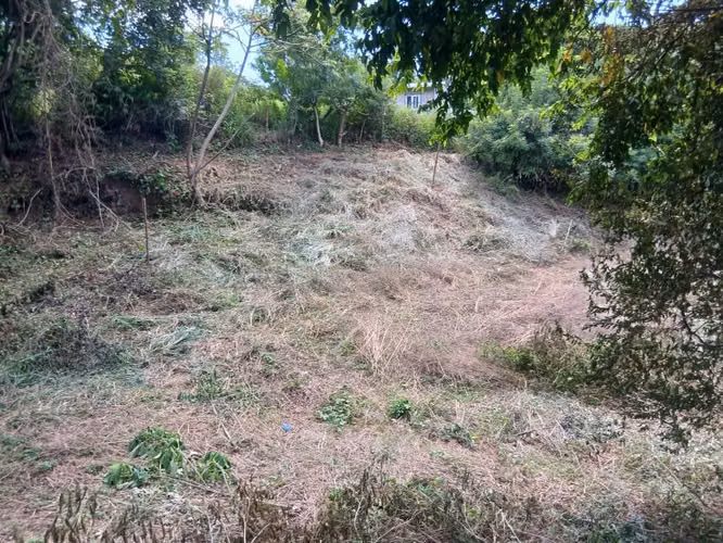 Santa Ana 1,073 V² zona Río Zarco p/varios fines