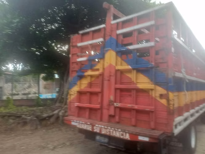 SE VENDE CAMION ISUZU FRR2001 - Imagen 4