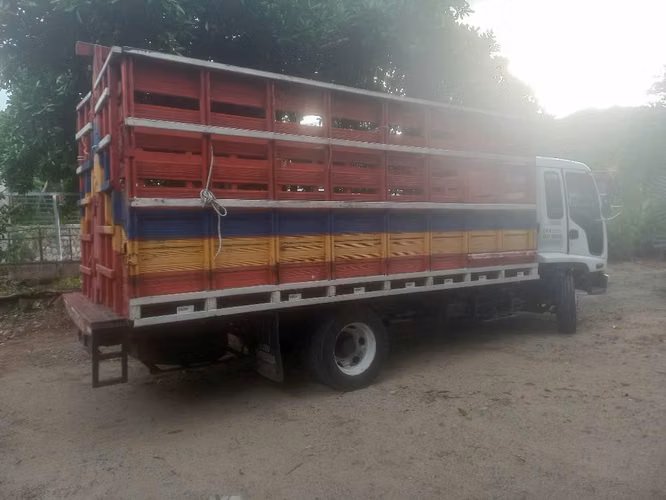 SE VENDE CAMION ISUZU FRR2001 - Imagen 5