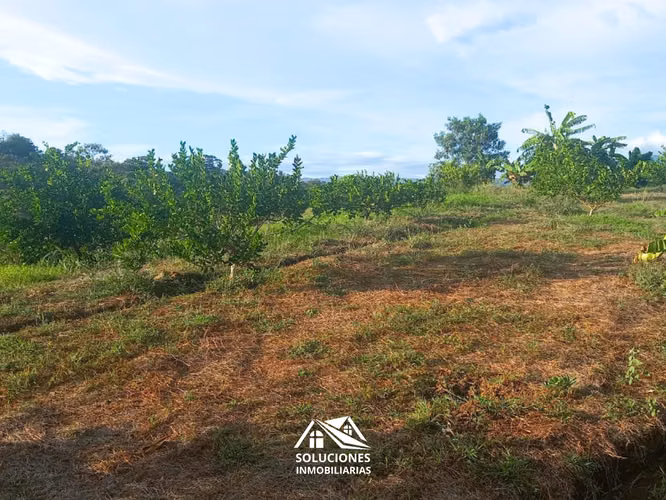 SE VENDE TERRENO DE 10,489 METROS CUADRADOS | UBICADO EN GUAYMANGO - Imagen 3