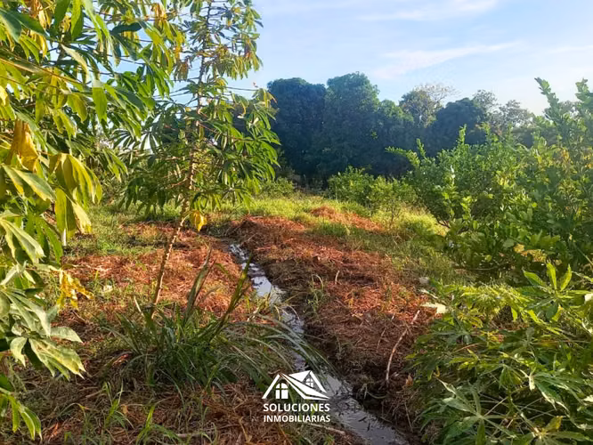 SE VENDE TERRENO DE 10,489 METROS CUADRADOS | UBICADO EN GUAYMANGO - Imagen 5