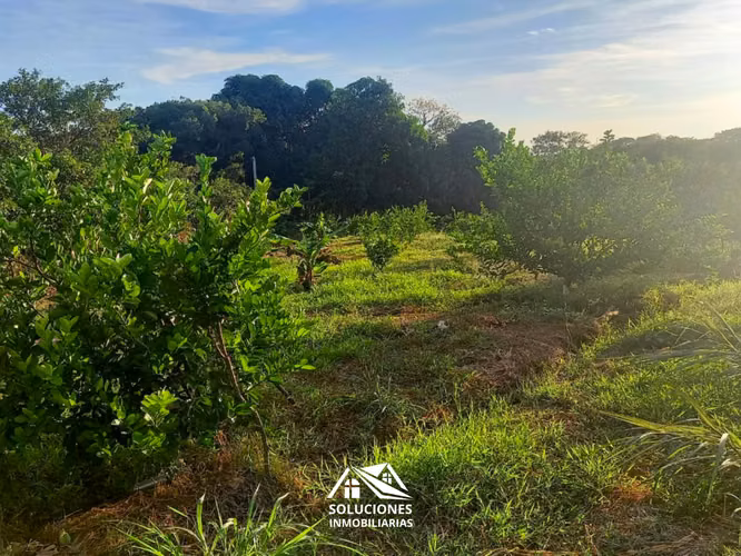 SE VENDE TERRENO DE 10,489 METROS CUADRADOS | UBICADO EN GUAYMANGO - Imagen 4