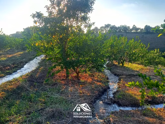 SE VENDE TERRENO DE 10,489 METROS CUADRADOS | UBICADO EN GUAYMANGO - Imagen 8