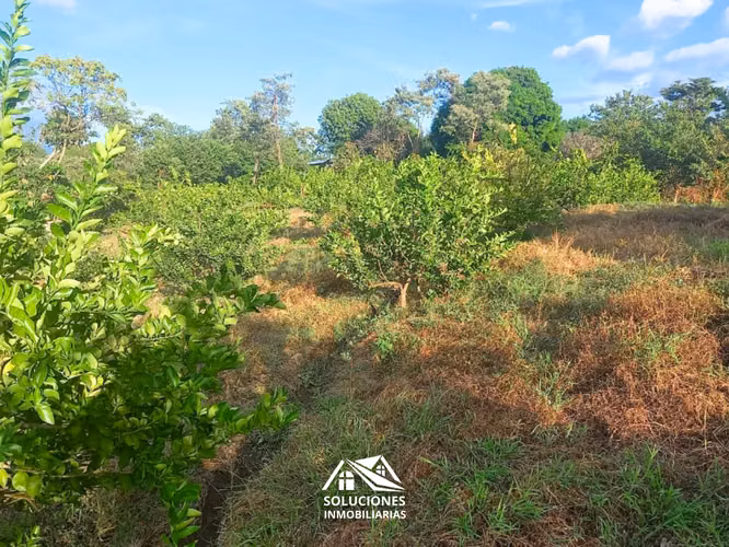 SE VENDE TERRENO DE 10,489 METROS CUADRADOS | UBICADO EN GUAYMANGO - Imagen 7