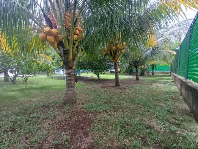 Lote de playa en venta en Malibú Sonsonate
