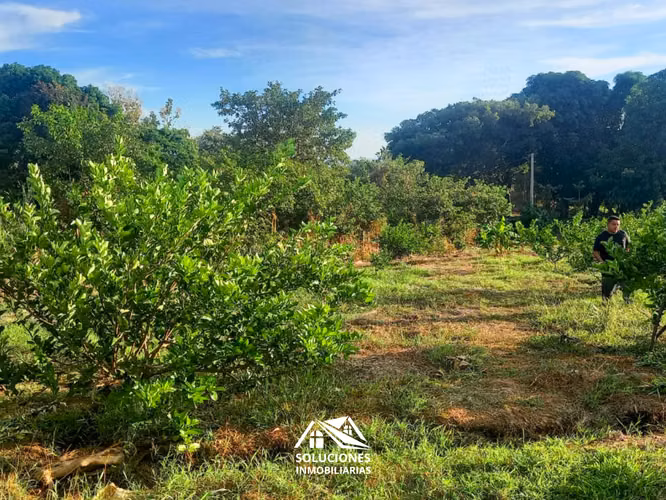 SE VENDE TERRENO DE 10,489 METROS CUADRADOS | UBICADO EN GUAYMANGO