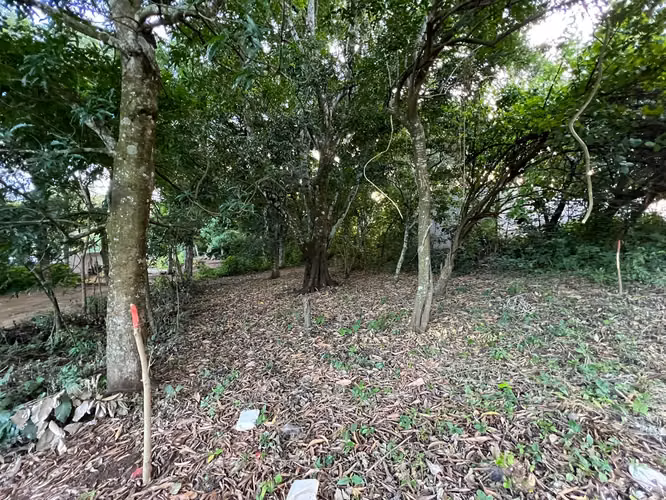 TERRENO RESIDENCIAL / COMERCIAL CON UBICACIÓN PRIVILEGIADA - Imagen 7