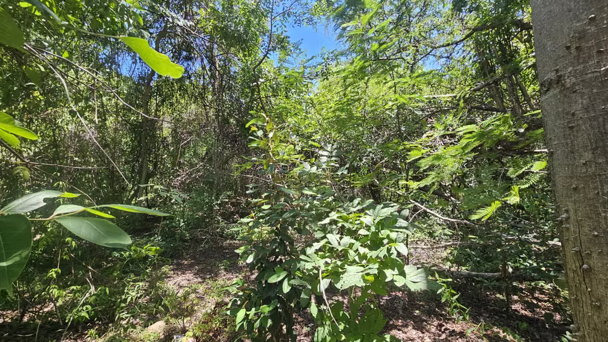 Venta de terreno de playa en Residencial Las Veraneras, Los Cóbanos, Sonsonate - Imagen 8