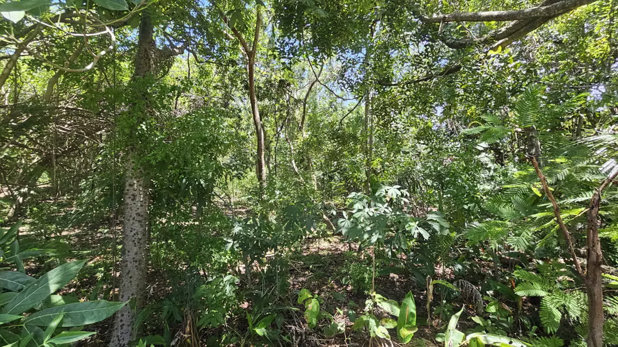 Venta de terreno de playa en Residencial Las Veraneras, Los Cóbanos, Sonsonate - Imagen 9
