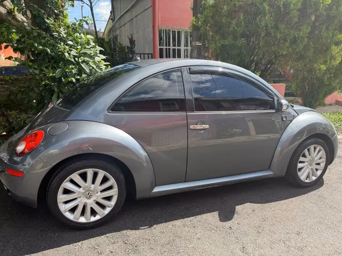 Beetle 2008