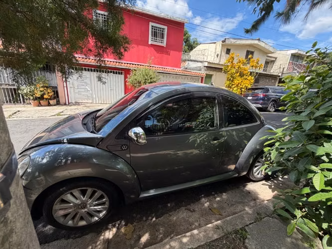 Beetle 2008