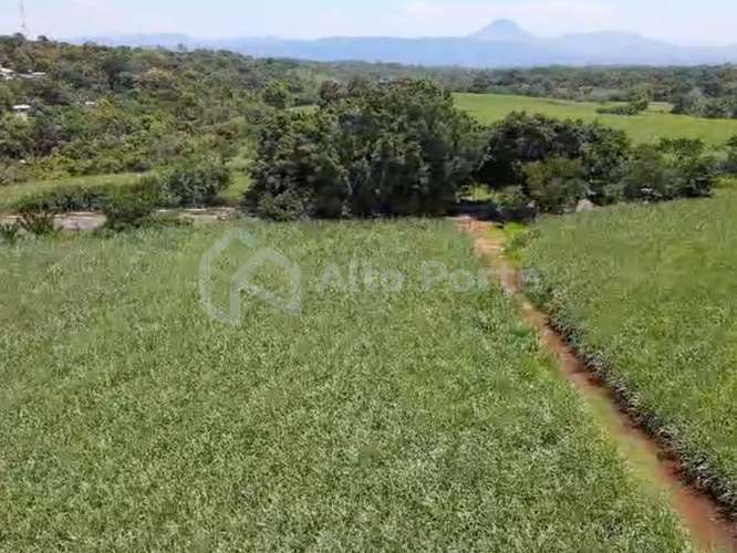 Terreno con vocación habitacional en Ahuachapán