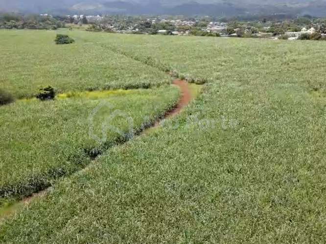 Terreno con vocación habitacional en Ahuachapán