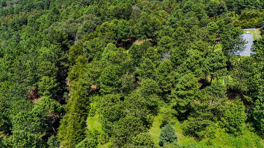 Exclusivo Terreno de Montaña de 1900 m2 en Alpes de San Ignacio - Imagen 10