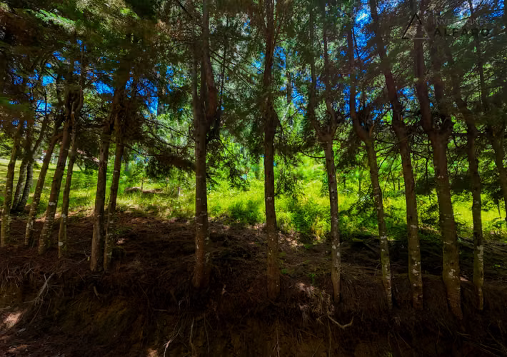 Exclusivo Terreno de Montaña de 1900 m2 en Alpes de San Ignacio - Imagen 17