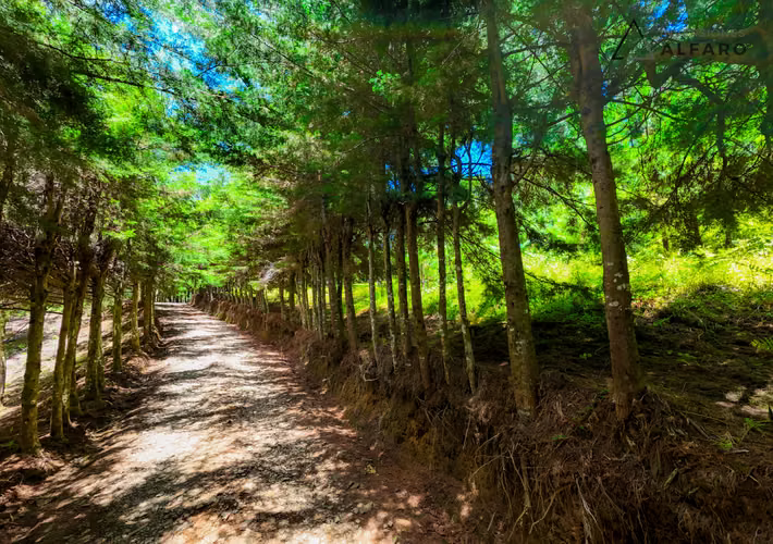 Exclusivo Terreno de Montaña de 1900 m2 en Alpes de San Ignacio - Imagen 15