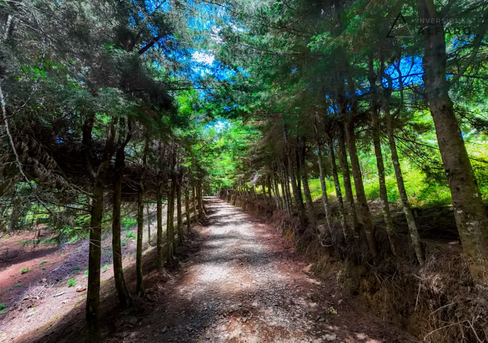 Exclusivo Terreno de Montaña de 1900 m2 en Alpes de San Ignacio - Imagen 16