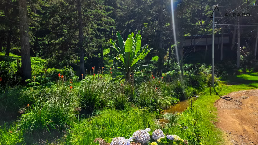Amplio Terreno de Montaña de 1660 m² en Alpes de San Ignacio