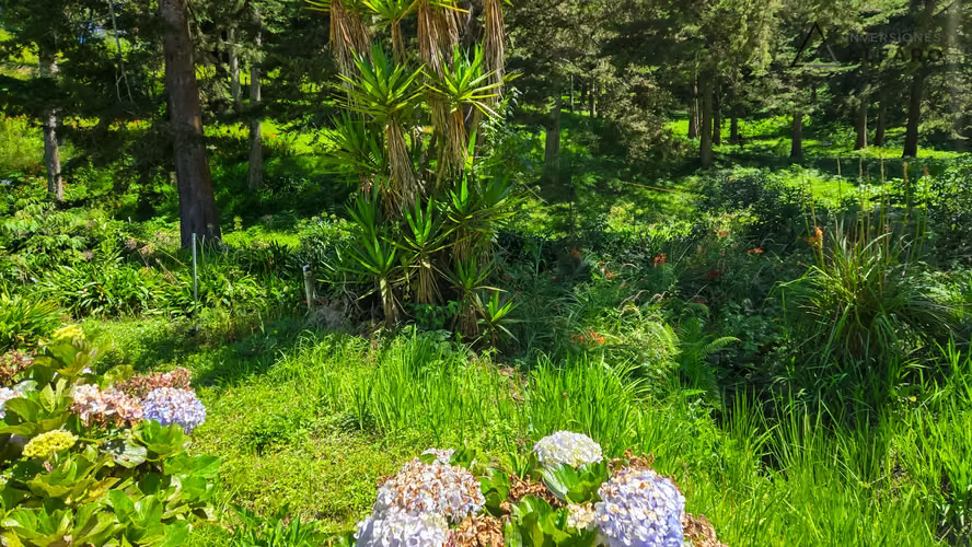 Amplio Terreno de Montaña de 1660 m² en Alpes de San Ignacio