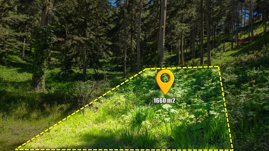 Amplio Terreno de Montaña de 1660 m² en Alpes de San Ignacio